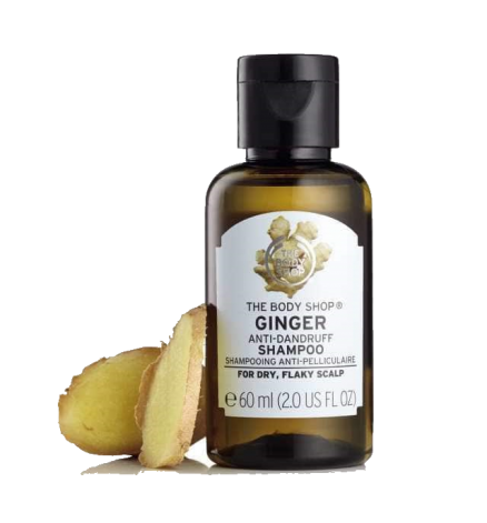 ginger anti dandruff shampoo